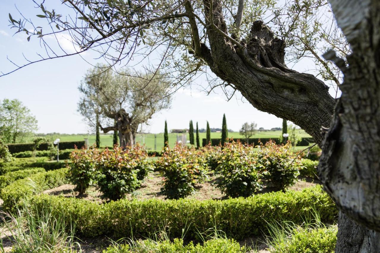 Podere San Giuseppe Кастильоне дел Лаго Екстериор снимка